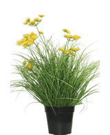 Plante de gazon artificiel Asteraceae 50 cm