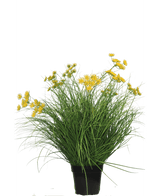 Plante de gazon artificiel Asteraceae 70 cm