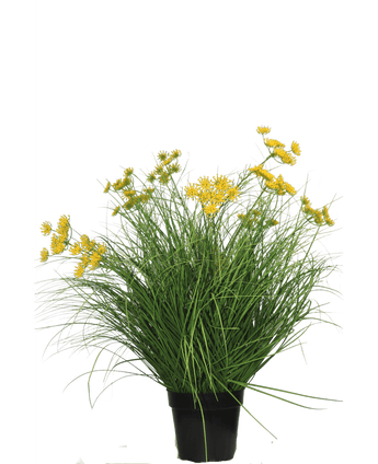 Plante de gazon artificiel Asteraceae 70 cm