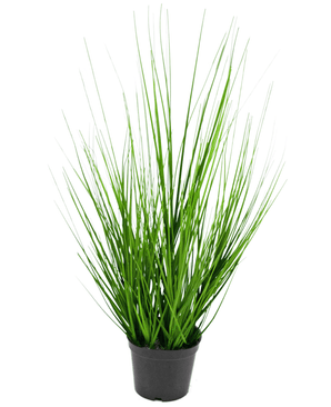 Plante de gazon artificiel Oignon 48 cm