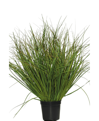 Plante de gazon artificiel vert sec 50 cm