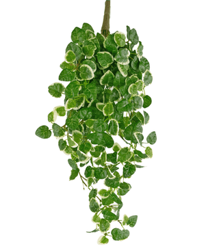 Plante murale artificielle Pumila 50 cm