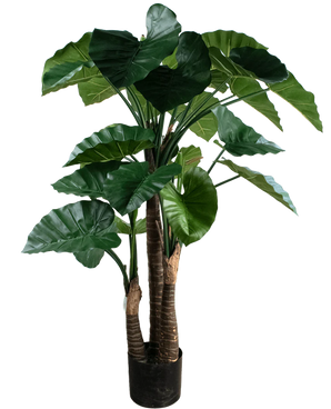 Plante artificielle Alocasia 150 cm