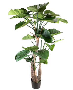 Plante artificielle Alocasia 180 cm
