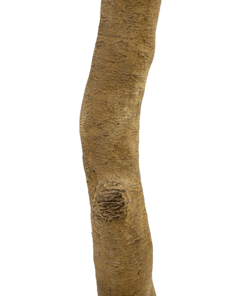 Pommier artificiel 240 cm