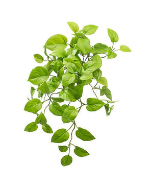 Pothos artificiel Deluxe 60cm