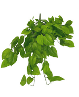 Pothos artificiel Deluxe 90cm