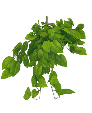 Pothos artificiel Deluxe 90cm