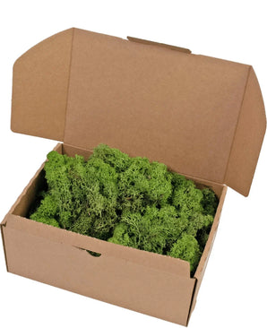 Open kartonnen doos Rendier Mos Forest Green 500 gram, gevuld met weelderig groen mos en afgebeeld tegen een witte achtergrond.