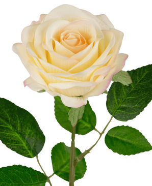 Rose artificielle "Emine" Real Touch jaune/crème 43cm