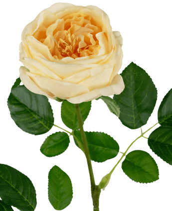 Rose de jardin artificielle "Anniken" Real Touch jaune 72cm