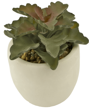 Succulente artificielle 15 cm