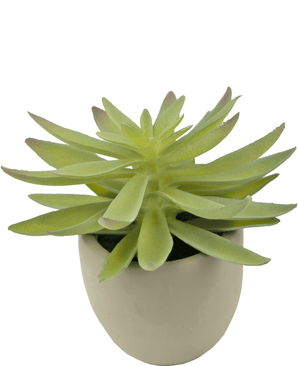 Succulente artificielle 18 cm