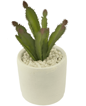 Succulente artificielle 20 cm