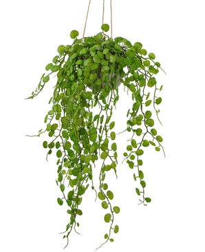 Succulente artificielle tombante 53 cm dans un pot
