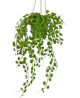 Succulente artificielle tombante dans un pot en ciment 43 cm