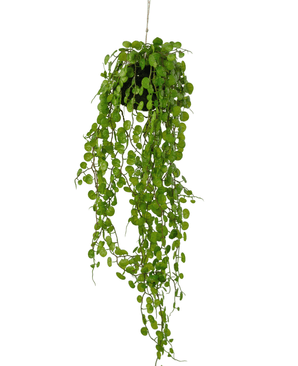 Succulente artificielle tombante sur ampoule 78 cm