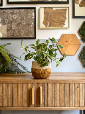 Plante artificielle Vigne d'or en pot 25cm