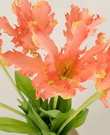 Bouquet de fleurs artificielles en soie, perruche française, tulipe, corail
