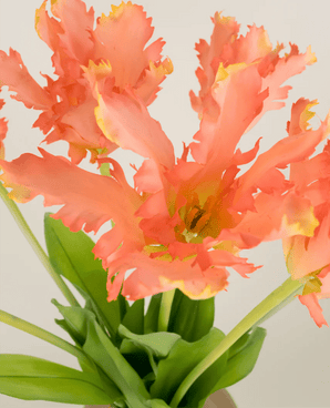 Zijden kunstbloemen boeket Franse Parkiet Tulp koraal