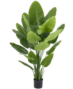 Plantes artificielles