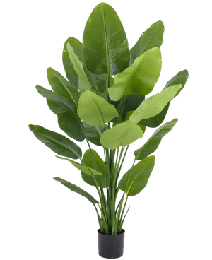 Plantes artificielles