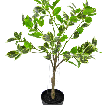 Plante artificielle Ficus Henryi 60 cm vert/blanc