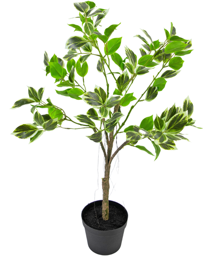 Plante artificielle Ficus Henryi 60 cm vert/blanc