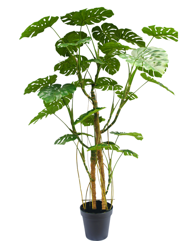 Plante artificielle Monstera 240 cm