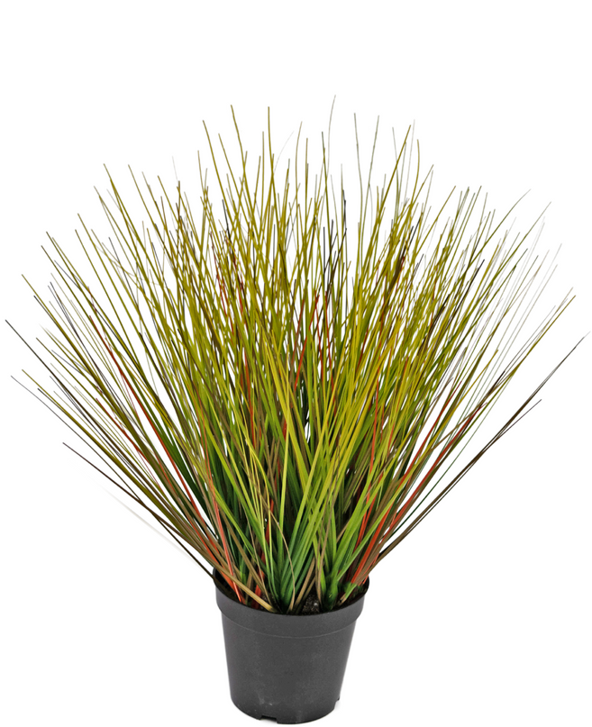 Plante de gazon artificiel Oignon 50 cm