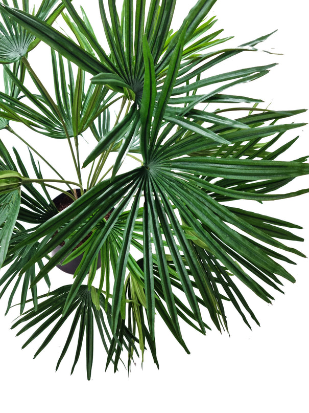 Plante artificielle Baby Palm Fan en pot 50 cm