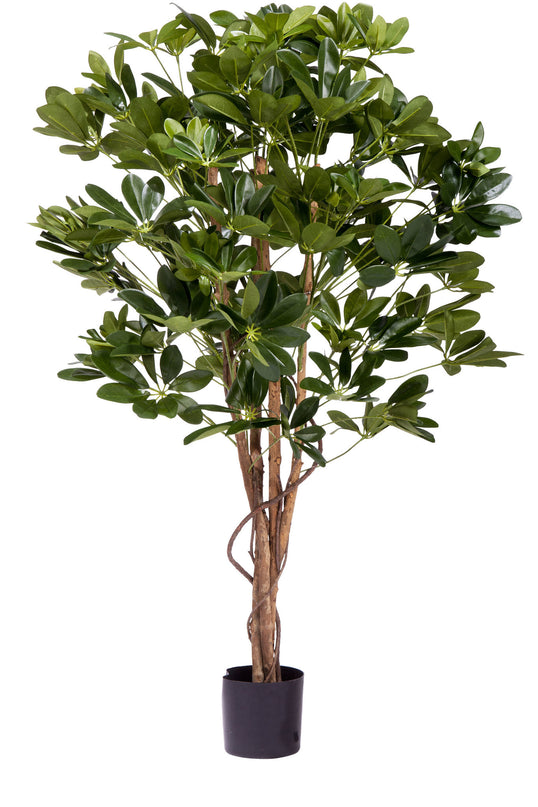 Plante artificielle Schefflera 120 cm.