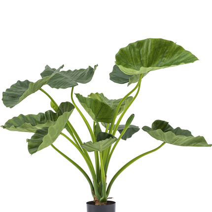 Plante artificielle Alocasia Calioora 80 cm