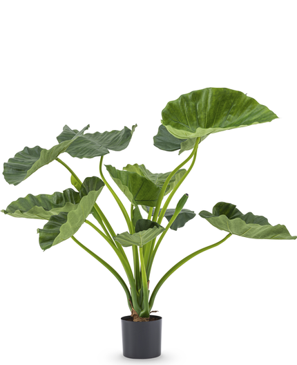 Plante artificielle Alocasia Calioora 80 cm