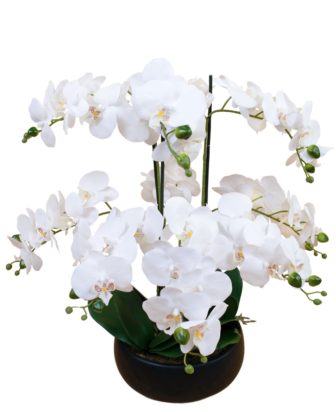 Orchidée artificielle 65 cm blanche dans un bol noir