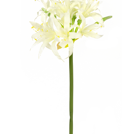 Fleur artificielle Nerine 70 cm blanc