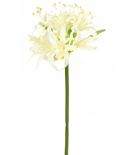 Fleur artificielle Nerine 70 cm blanc