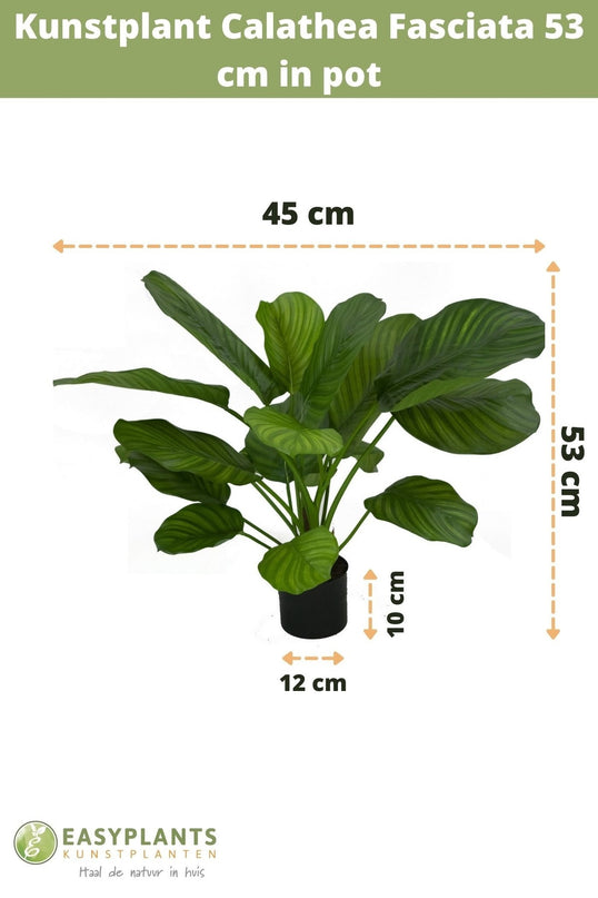 Plante artificielle Calathea Fasciata 53 cm en pot