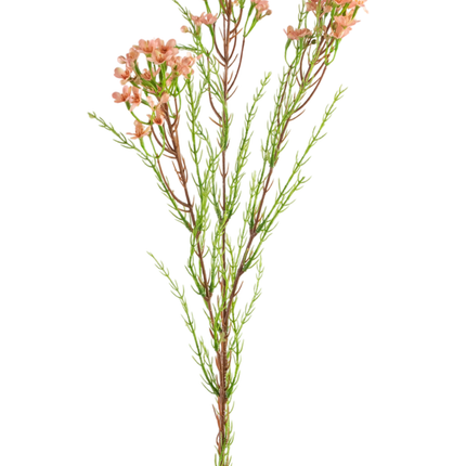 Branche artificielle Waxflower rose 78 cm