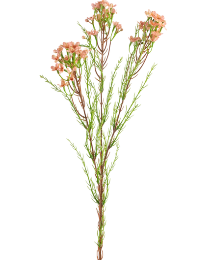 Branche artificielle Waxflower rose 78 cm