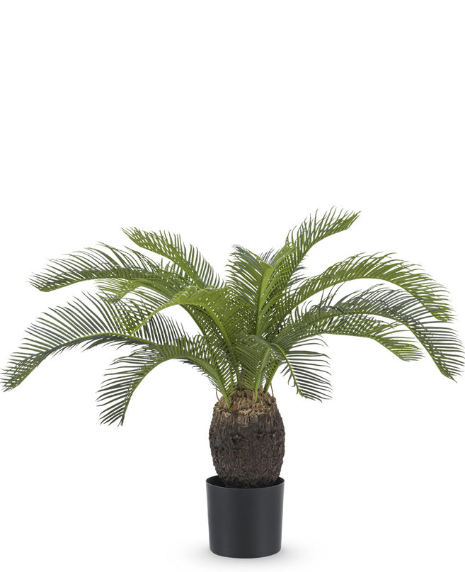 Plante artificielle Baby Cycas Palm 60 cm