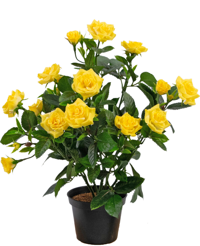 Plante artificielle Mini Rose 35 cm jaune