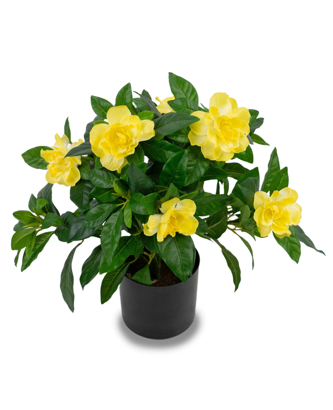 Plante artificielle Gardenia 39 cm