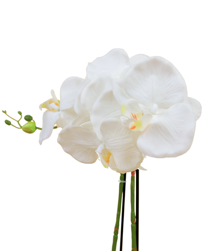 Orchidée artificielle 62 cm blanche