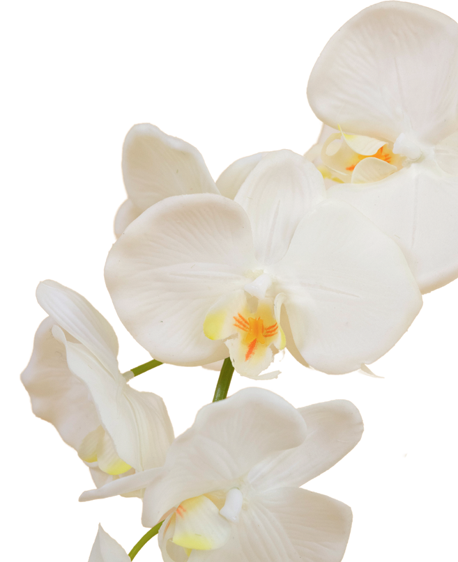 Orchidée artificielle 50 cm blanche en pot