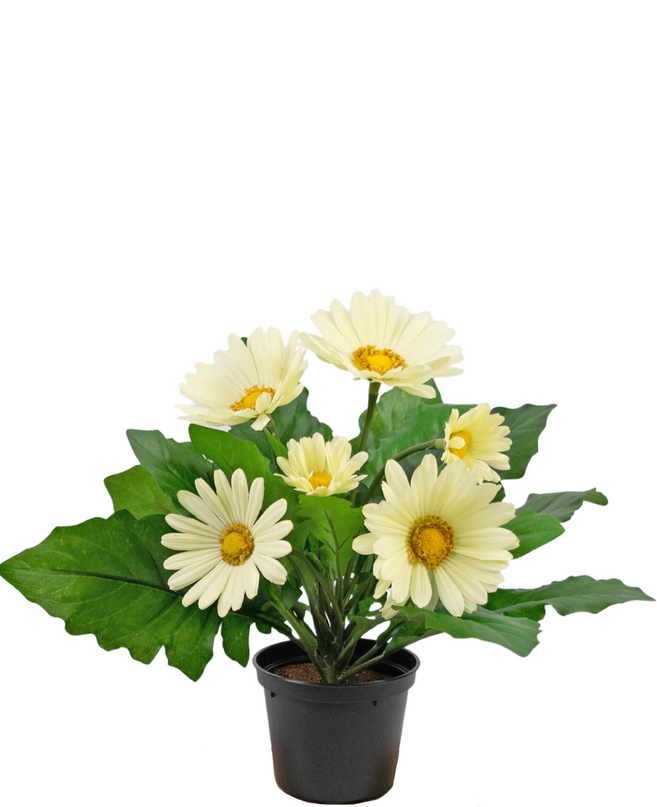 Plante artificielle Gerbera 28 cm blanc