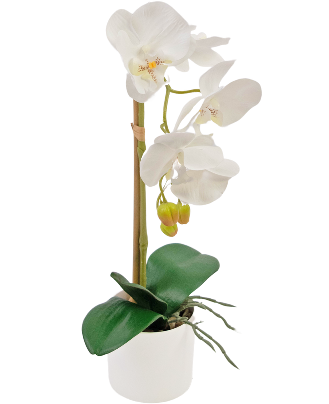 Orchidée artificielle 42 cm blanche dans un pot blanc