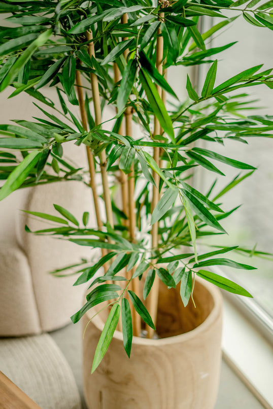 Plante artificielle Bambou 150 cm