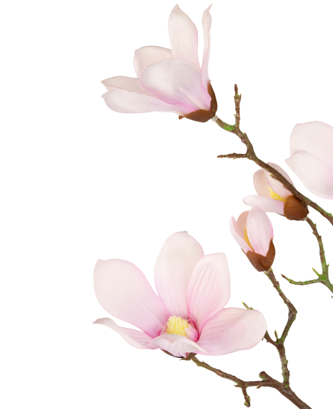 Branche de magnolia artificiel Real Touch rose 98 cm