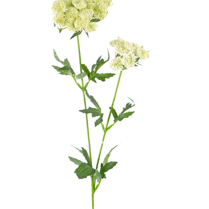 Fleur artificielle Fleur de dentelle 76 cm blanche